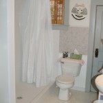 Walk-in bath-tub/shower bath remodeling contractor la crosse wi