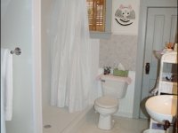 Walk-in bath-tub/shower bath remodeling contractor la crosse wi