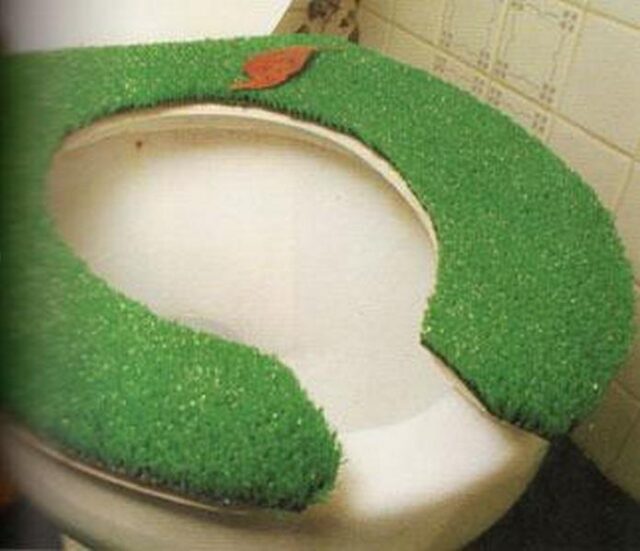 grass toilet seat Grass Toilet Seat Cover bathroom design ideas la crosse wi