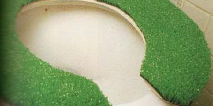 Grass Toilet Seat Cover bathroom design ideas la crosse wi